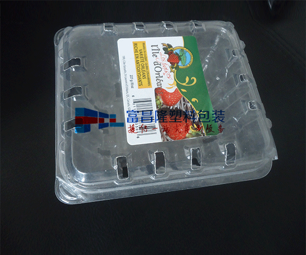 天津水果对折吸塑包装盒